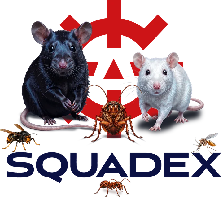 SQUADEX